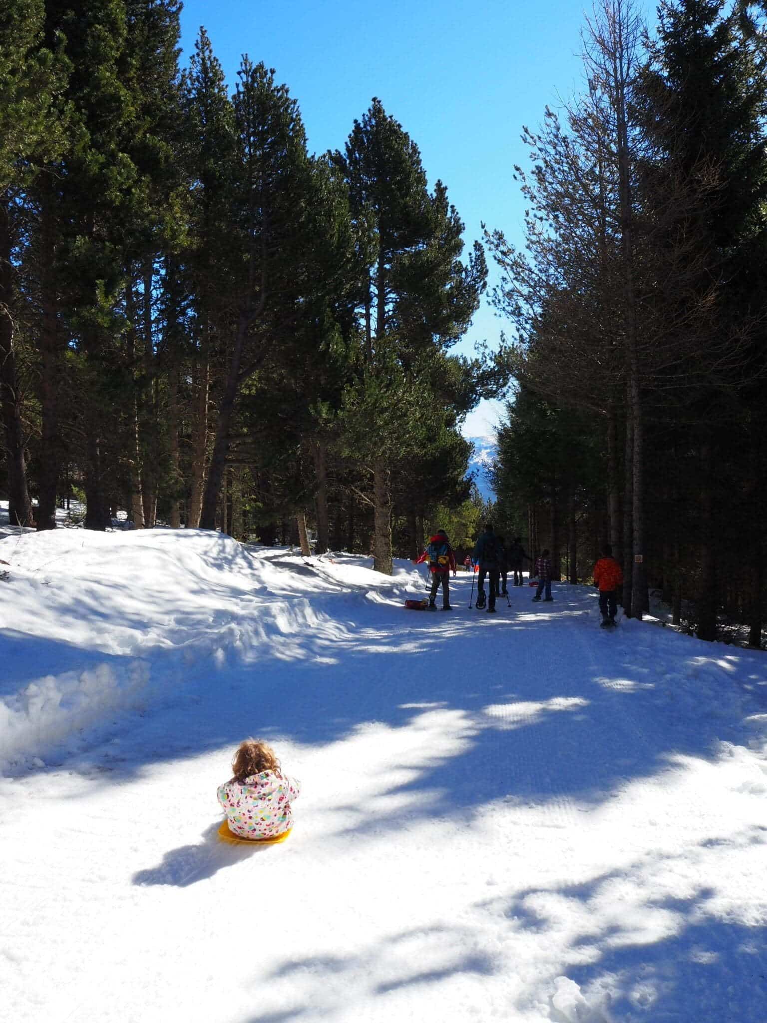 Trineo pala de nieve para niños