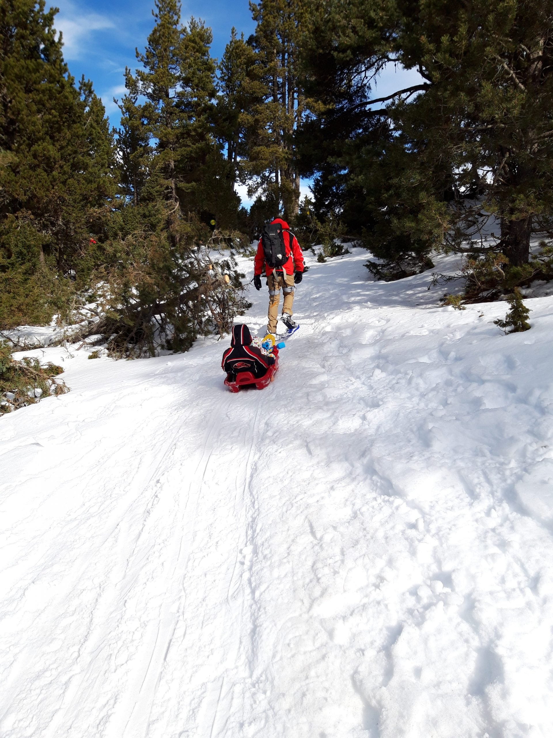 Hacer raquetas de nieve con niños: supertruco! Trineo+Arnés+ superpapas