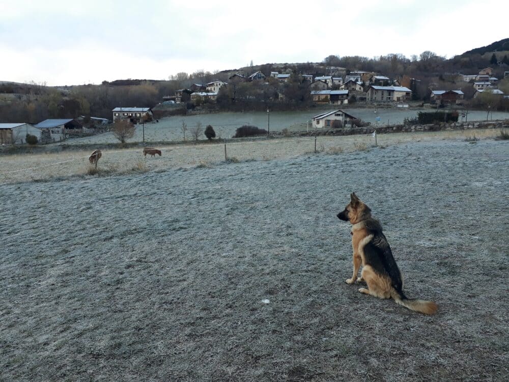 Max desde el estacionamiento de Llo