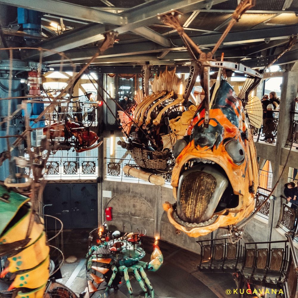 Mini guide to 5 things to know: the machine island of Nantes