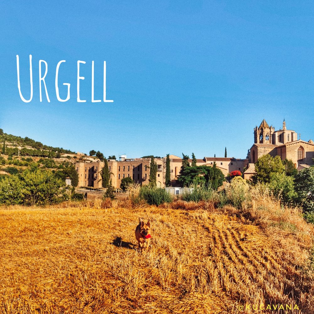 Urgell Lleida