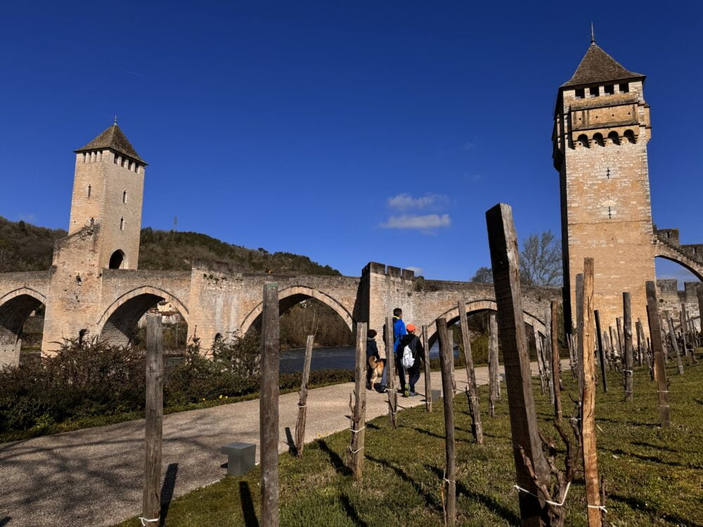 Jardí amb vinyes de Malbec al costat del Pont de Valentré de Cahors