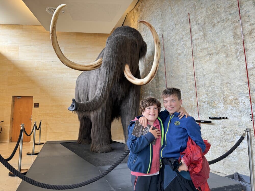 Museo de la Prehistória ubicado en Les Eyzies, en el Valle de Vézère, Dordoña Perigord Negro