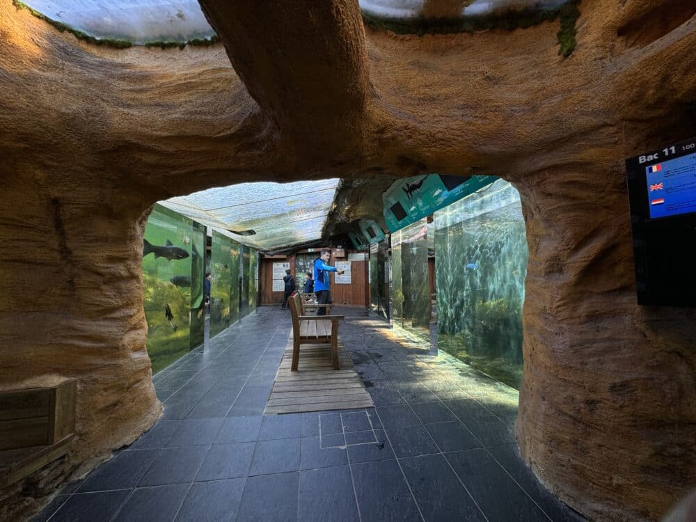 Interior del Aquarium del Perigord Negro que ver en el Valle de Vézère, en Le Bugue