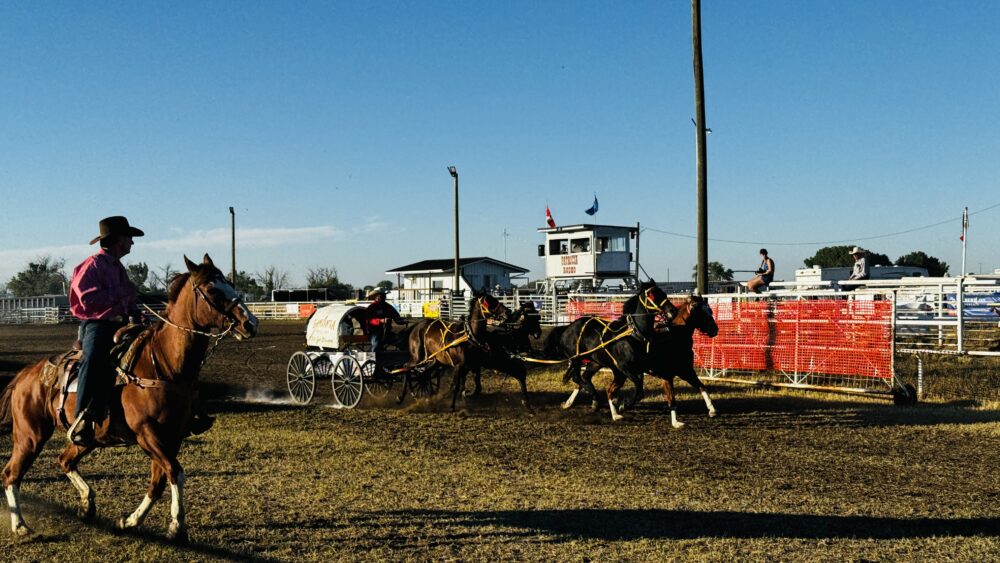 Disfrutando de un rodeo en Patricia, Alberta, Canadá