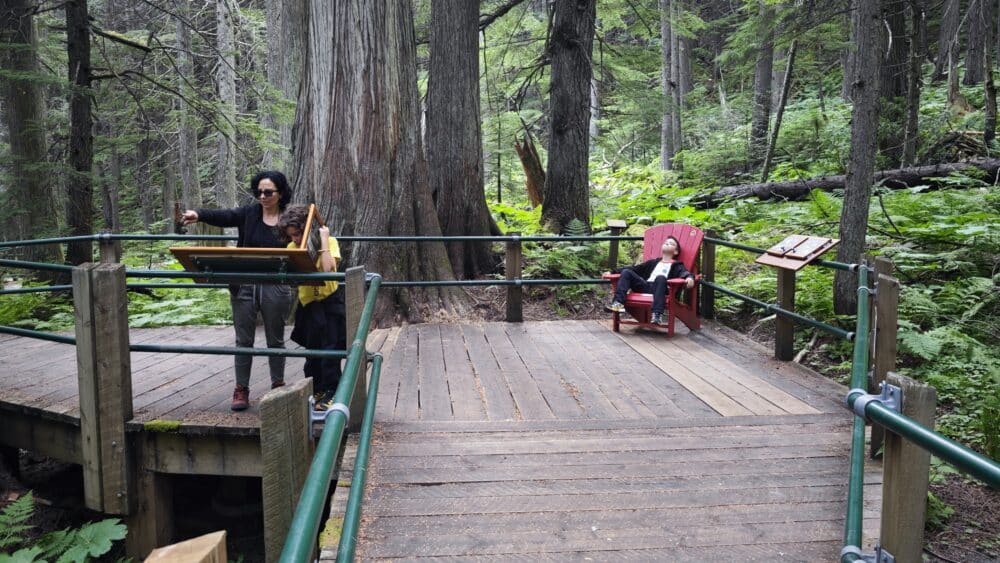 Descubriendo el bosque Hemlock Grove del Glacier National Park de Canadá con los paneles educativos gamificados