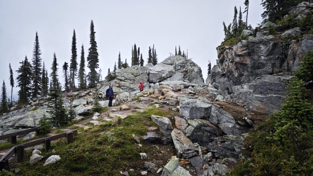 Caminando pr el sendero interpretativo de las naciones originales llamado First Footstemps en Mount Revelstoke National Park