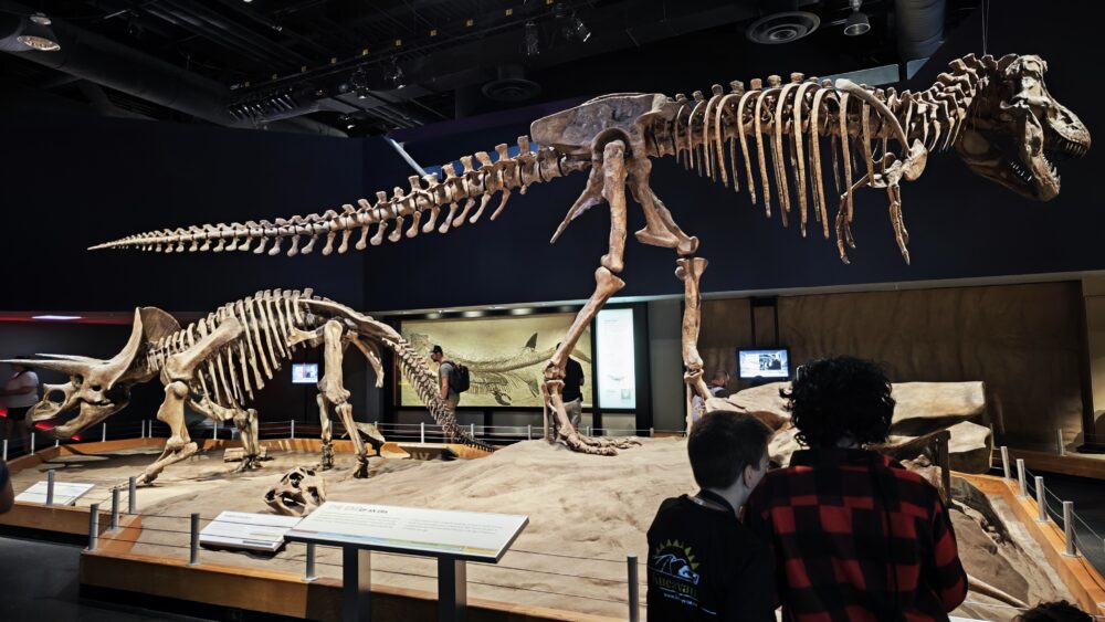 Museo Tyrell de los dinosaurios en Drumheller, un museo imprescindible y sorprendente que ver en Canadá