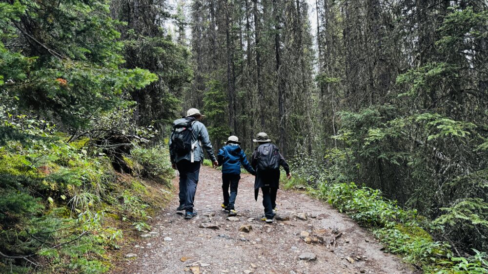 Camino entre el bosque con subidas y bajadas pronunciadas de las Upper Falls a las Inkpots en Johnston Canyon.