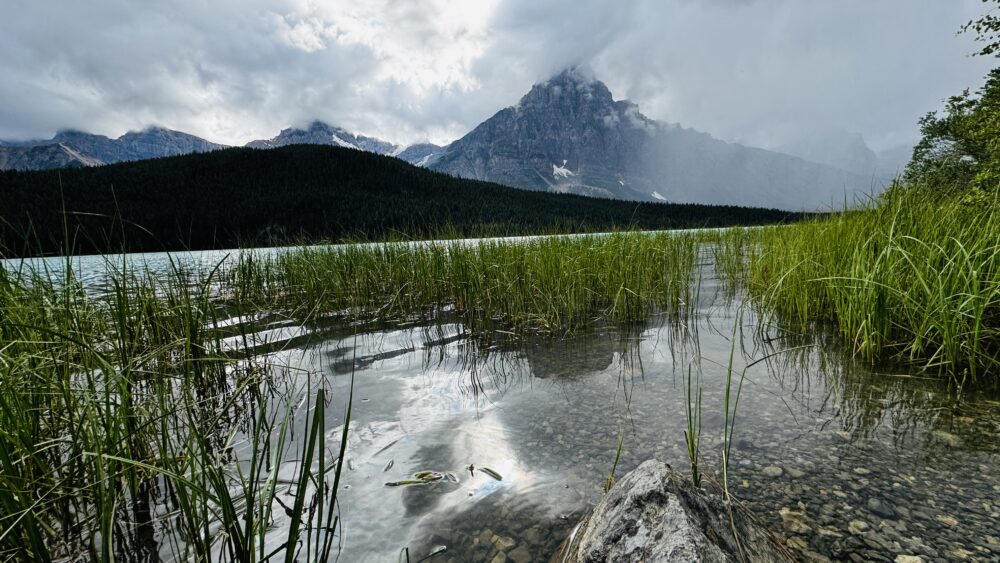 Waterfowl Lake