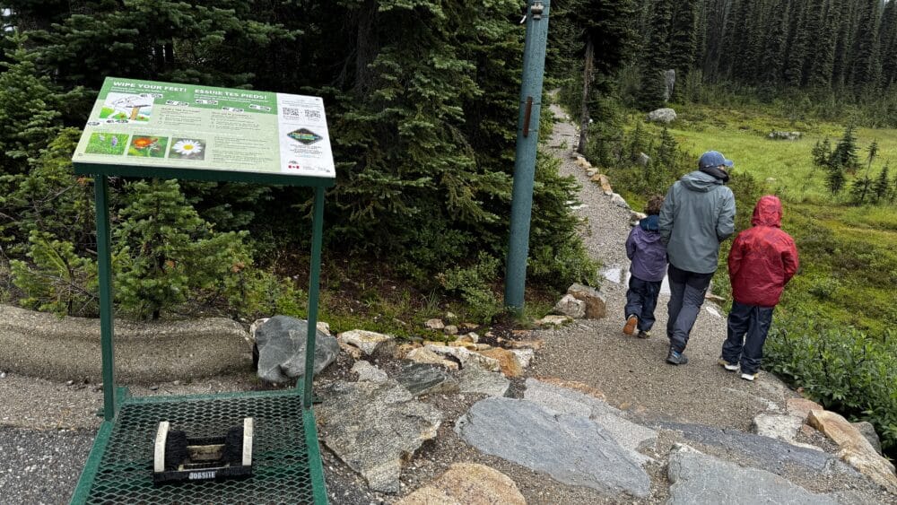 Limpia zapatos, al principio de los senderos de Mount Revelstoke National Park