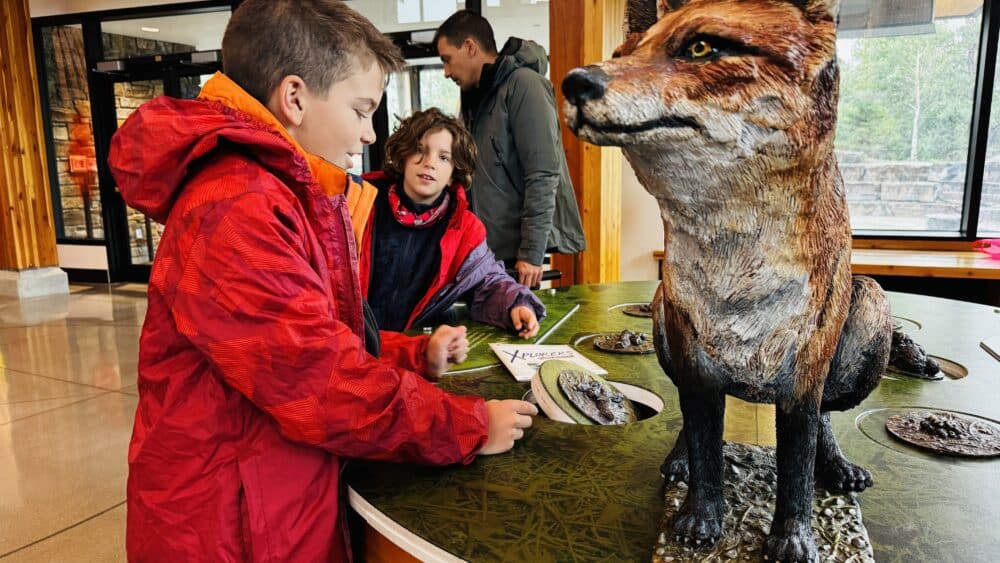 Visitor Center del Parque Nacional de Waterton Lakes con exhibiciones educativas pensadas para niños