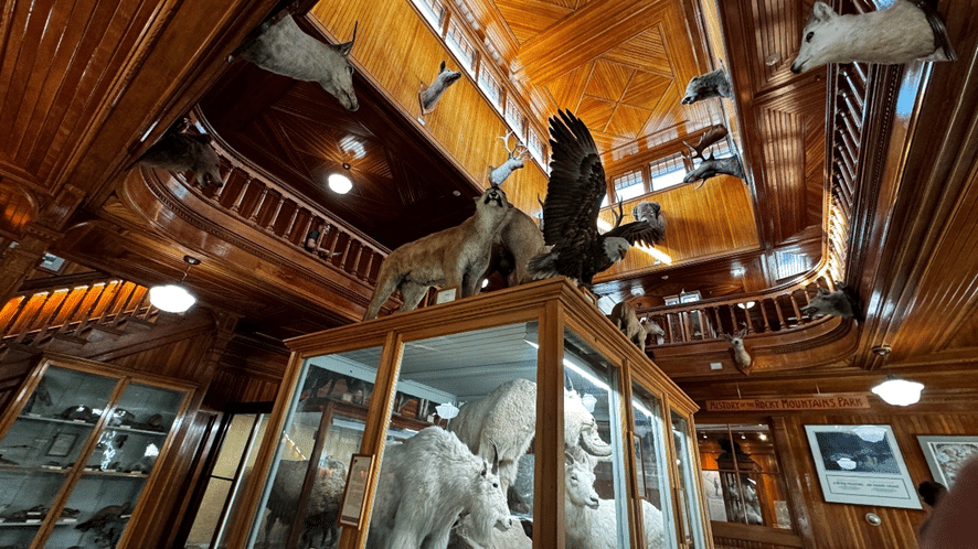 Museo del Parque Nacional de Banff