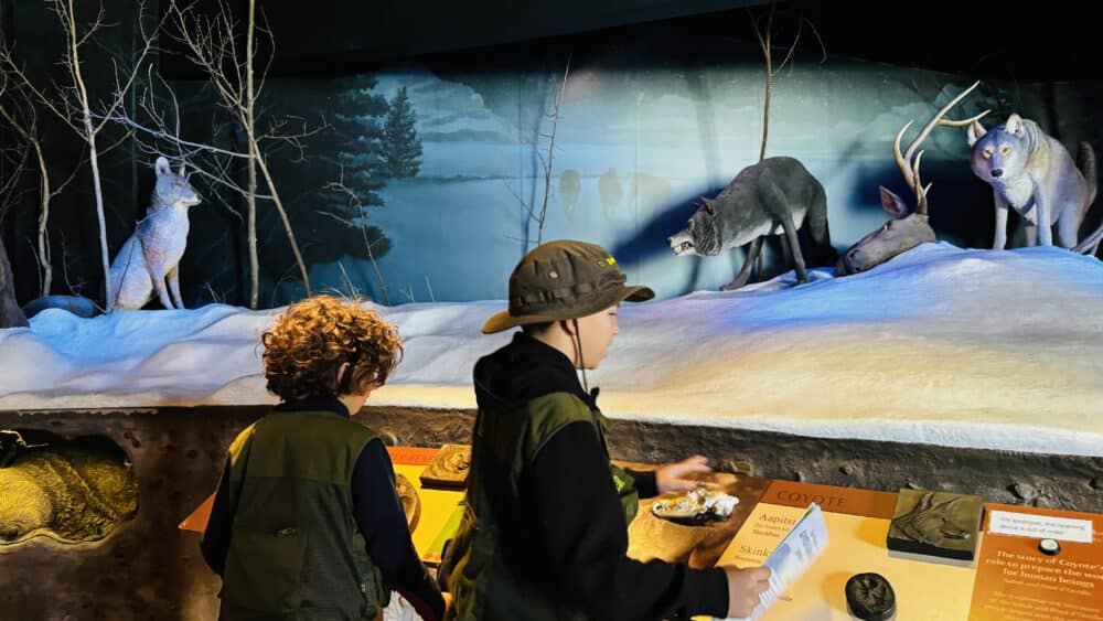 Exhibición del Visitor Center de Saint Mary de Glacier National Park, en la entrada este de Going to the sun road