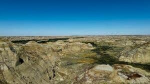 Lee más sobre el artículo 10 imprescindibles que ver en el Dinosaur Provincial Park de Canadá, Alberta