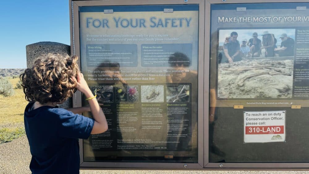 Panel informativo de seguridad del Dinosaur Provincial Park con advertencia de las serpientes de cascabel, viudas negras, escorpiones y plantas peligrosas