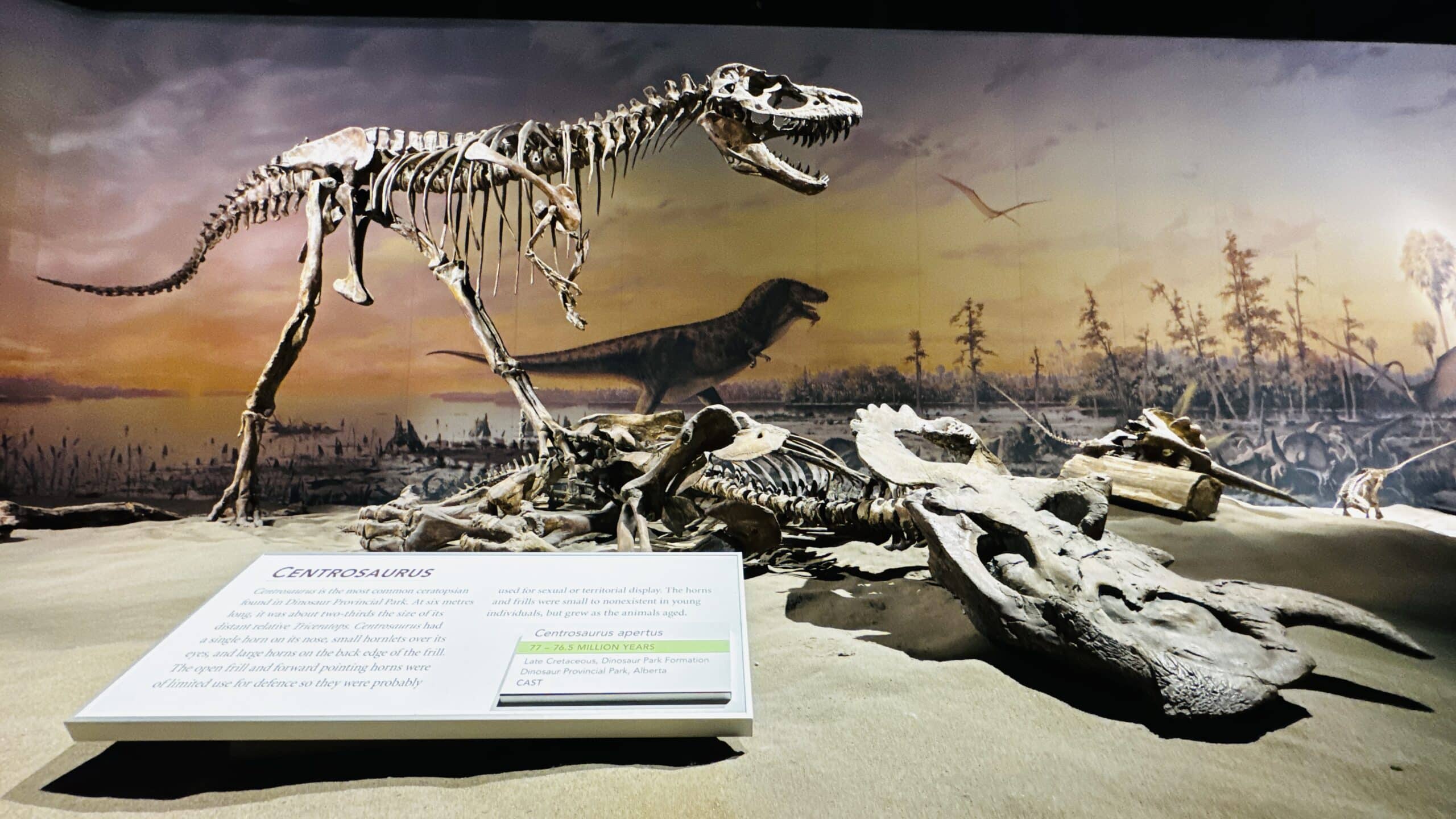 Esqueleto de uno de los dinosaurios expuestos en Tyrell Museum de Drumheller