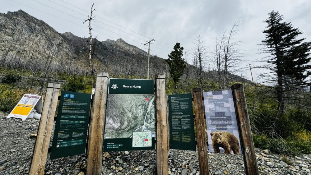 Acceso al trail para subir a Mount Crandell, a través del sendero Bear's Hump Trail para las mejores vistas, el imprescindible de senderismo en Waterton Lakes