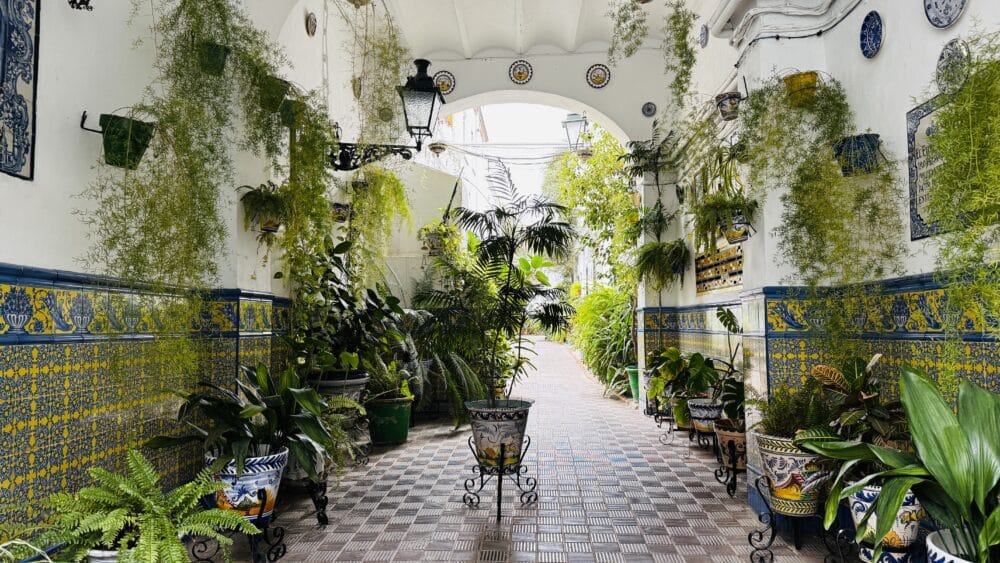 Patio de unas corralas, casitas que comparten patios florecidos del barrio de Triana de Sevilla